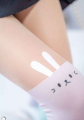 新女巡按