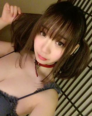 野鸽子
